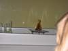 photo5_small.jpg